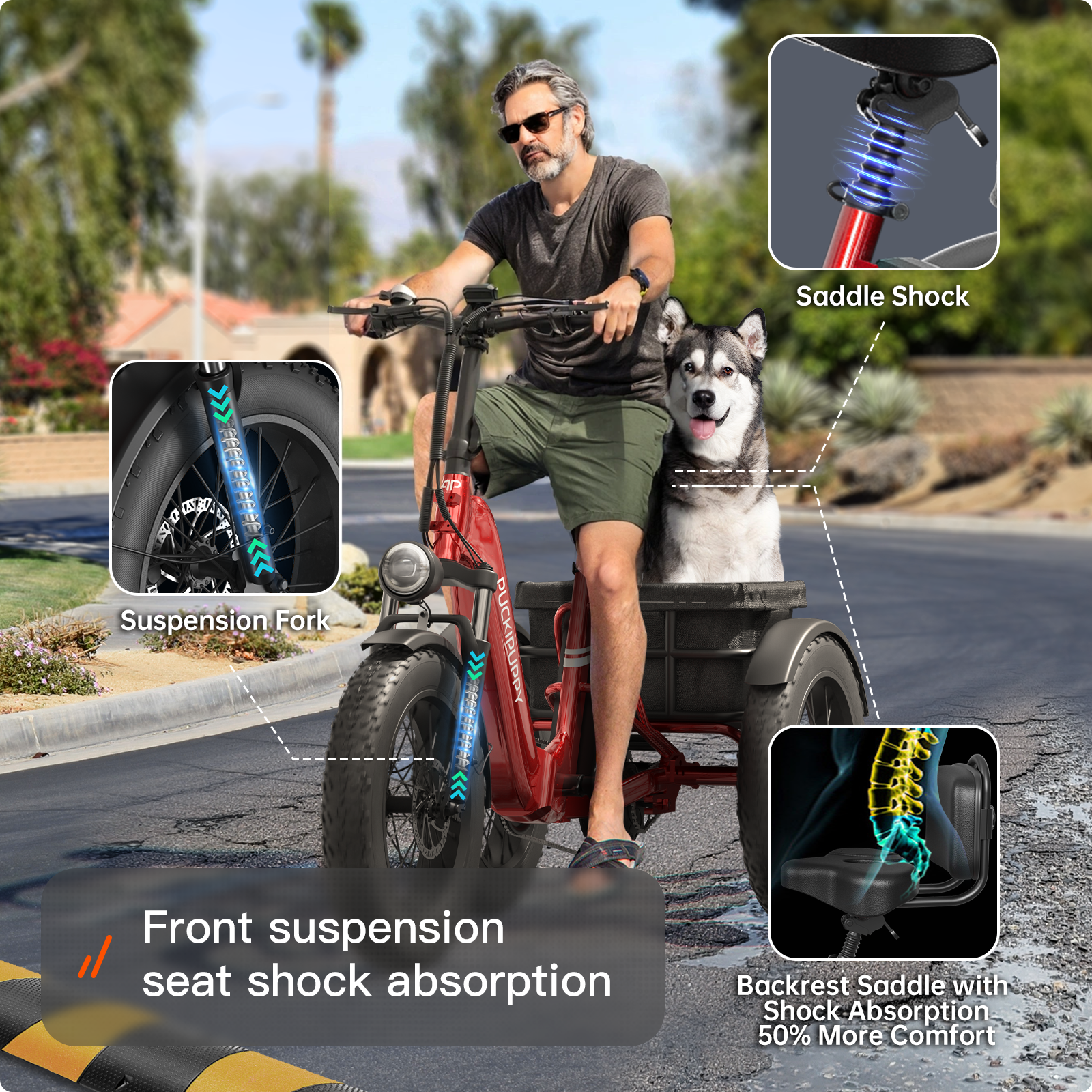 Husky Plus Best 3 Wheel Electric Bike For Adults Seniors