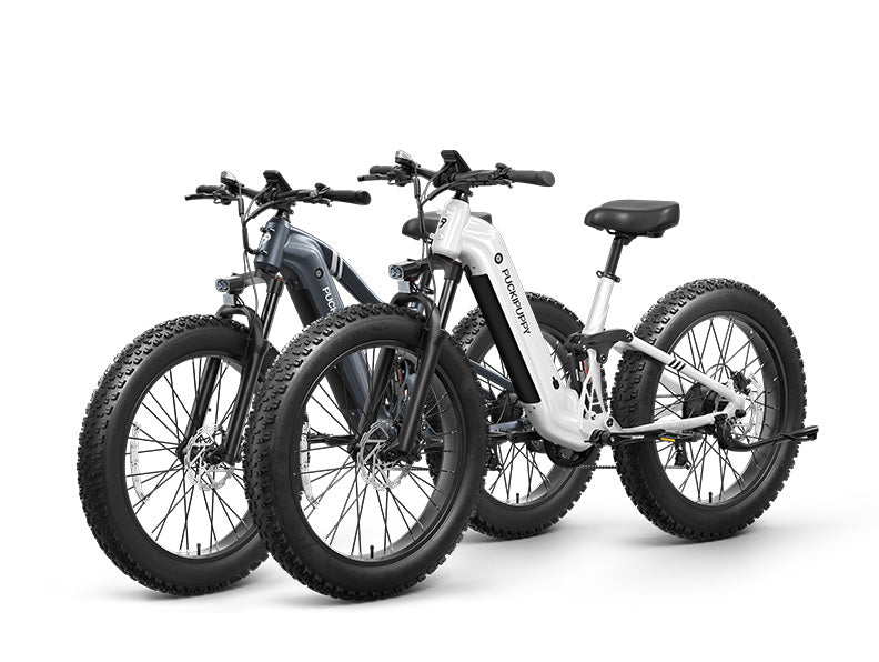 Boxer Ebike+Boxer ST EbikeBoxer Grey+Boxer ST White