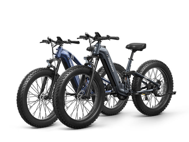 Boxer Ebike+Boxer ST Ebike - Boxer Grey Blue+Boxer ST Grey
