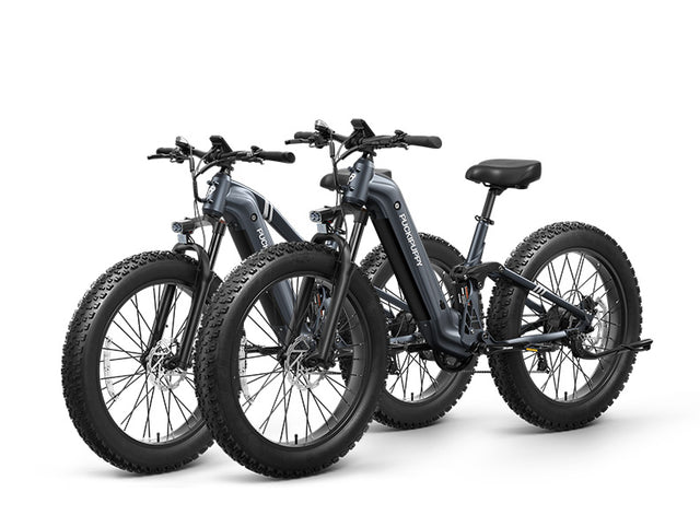 Boxer Ebike+Boxer ST Ebike - Boxer Grey+Boxer ST Grey
