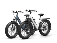 Samoyed Ebike+Samoyed Ebike