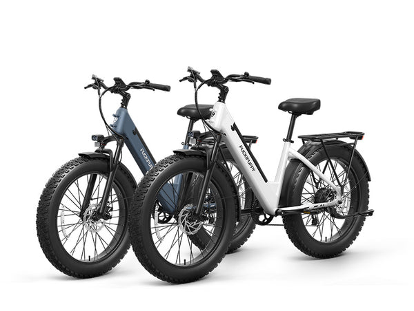 Samoyed Ebike+Samoyed EbikeGrey+White