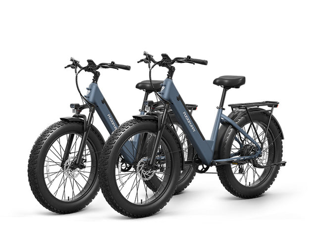 Samoyed Ebike+Samoyed Ebike - Grey+Grey