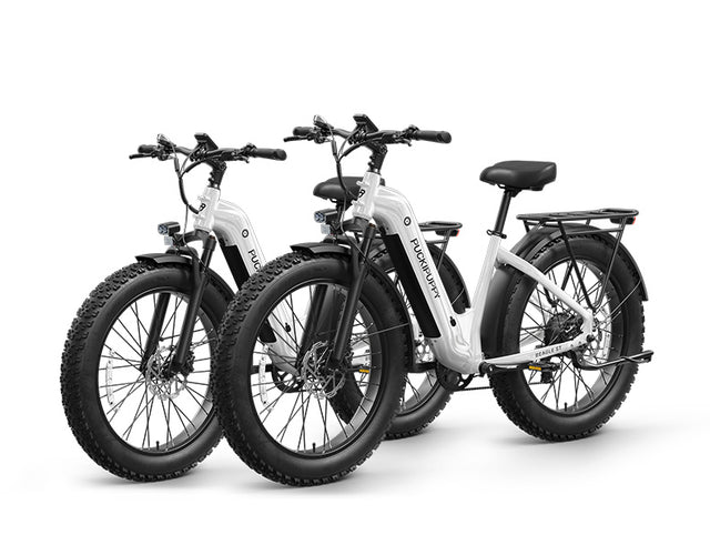 Beagle 2 ST Ebike+Beagle 2 ST Ebike - White+White