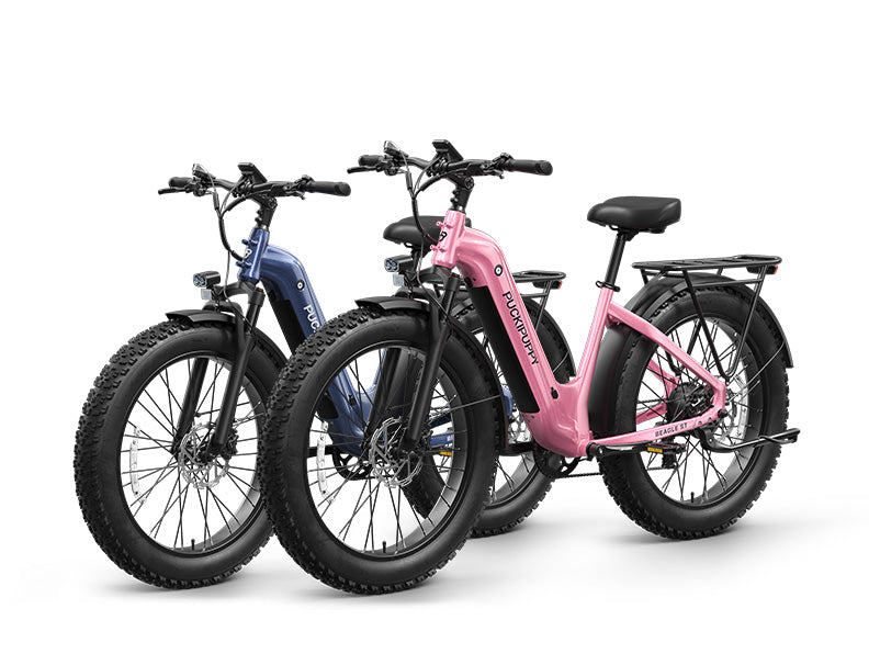Beagle 2 ST Ebike+Beagle 2 ST EbikeBlue+Pink