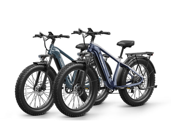 Beagle 2 Ebike+Beagle 2 EbikeGray Navy+Blue&Grey