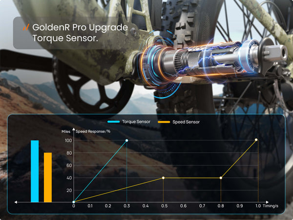 GoldenR Pro Torque Sensor Upgrade