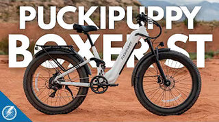 <p><strong>Puckipuppy Boxer ST Review | Playing Fetch All Day Long</strong></p>