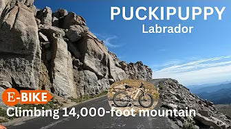 <p><strong>Climbing mountains on the Puckipuppy Labrador ebike!</strong></p>