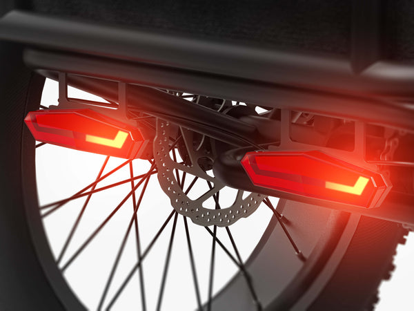 Integrated Rear Turn Signals