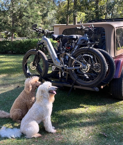 Electric Bike | Fat Tire Electric Bike for All Terrains | PUCKIPUPPY