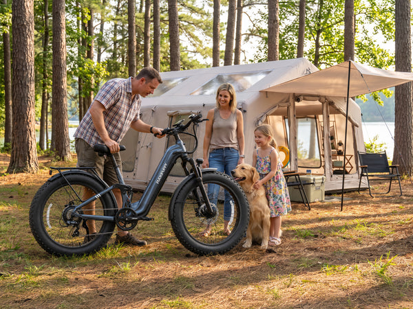 Boxer ST Ebike+DracoBoxer ST+Draco