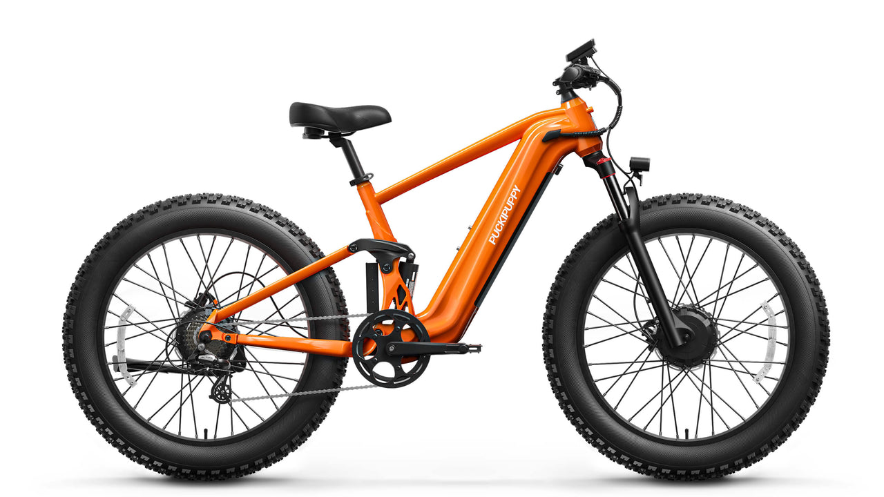 GoldenR Pro Ebike