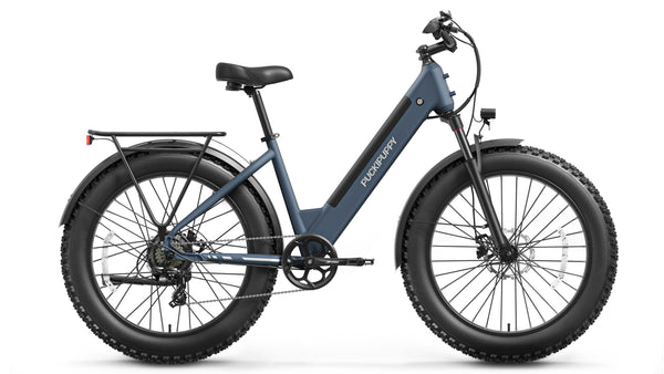 Samoyed EbikeGray Blue