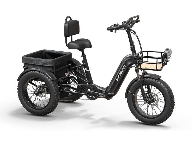 Rottweiler Etrike