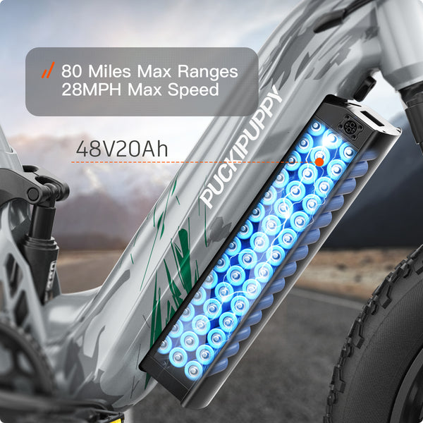 Corgi EbikeGraffiti Gray