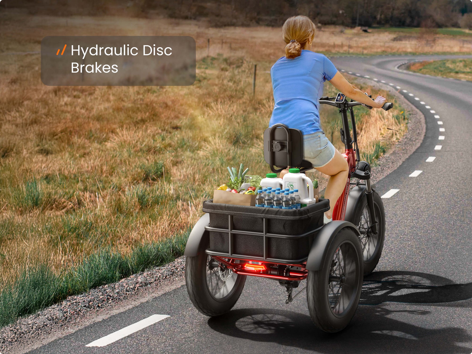 Hydraulic Brakes
