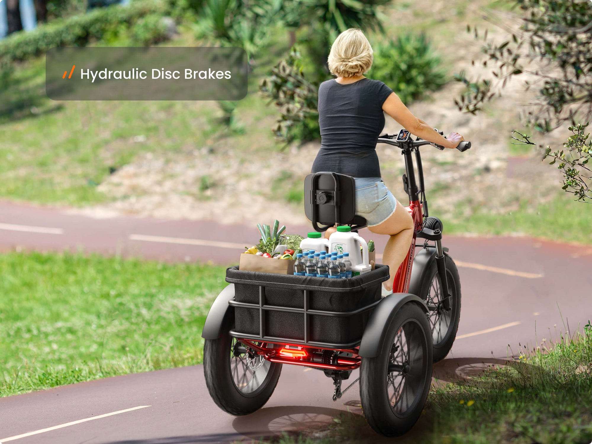 Husky Plus Electric TricycleLight Red