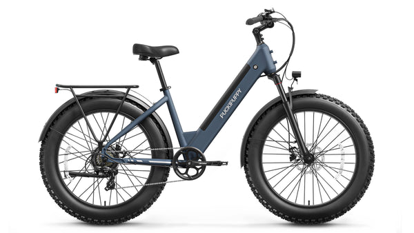 Gray Blue Samoyed Ebike Display Image