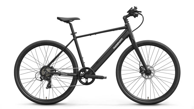 Doberman Ebike - black