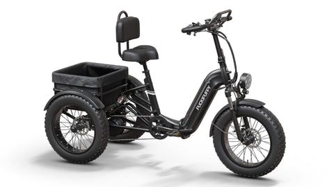 Rottweiler Electric Tricycle - Black