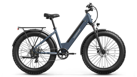 Samoyed Ebike - Gray Blue