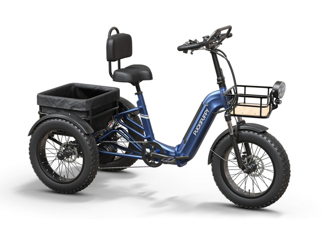 Rottweiler Etrike - Blue