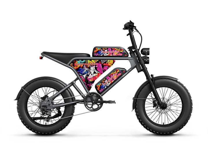 Schnauzer Plus Ebike