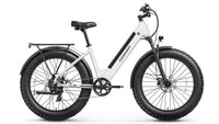 Samoyed Ebike