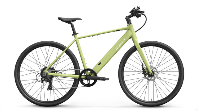 Doberman Ebike - green yellow