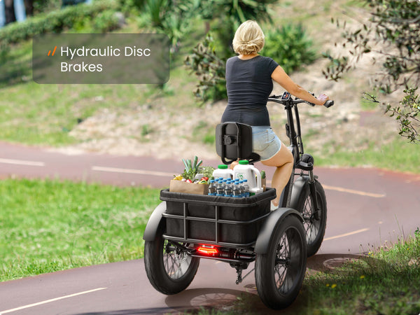 Hydraulic Brake System