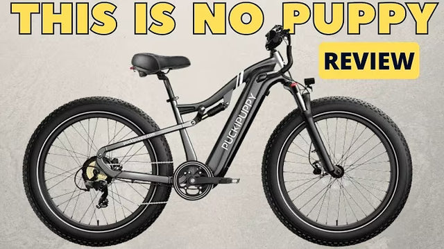 <p><strong>Experience the Thrill of PUCKIPUPPY Flamingo: Dual Suspension Ebike Test Ride</strong></p>