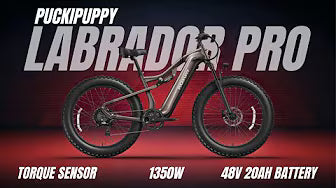 <p><strong>Labrador Pro Review - Puckipuppy Ebike</strong></p>