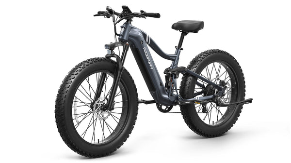Boxer EbikeMetallic Gray