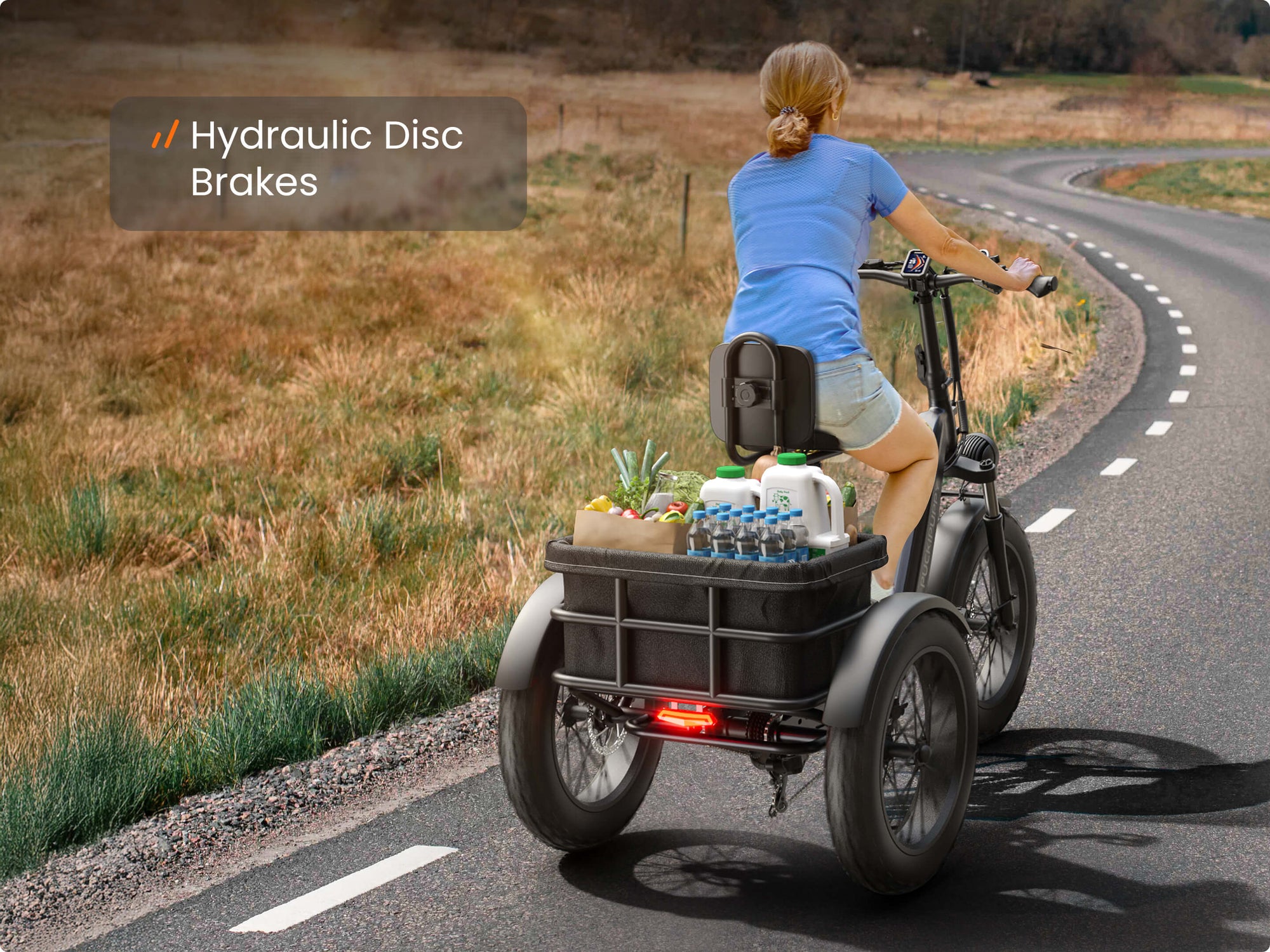 Hydraulic Disc Brake System