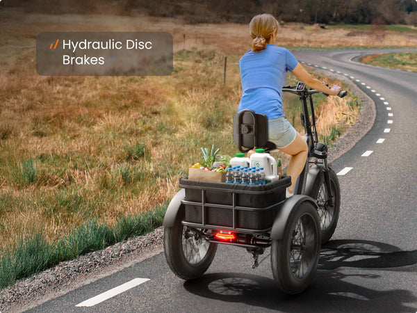 Hydraulic Disc Brake System