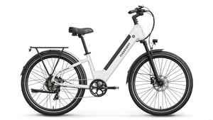 White Poodle Ebike