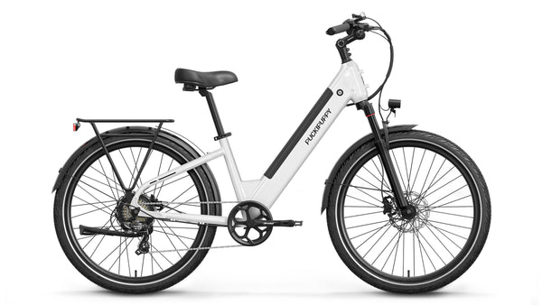 White Poodle Ebike