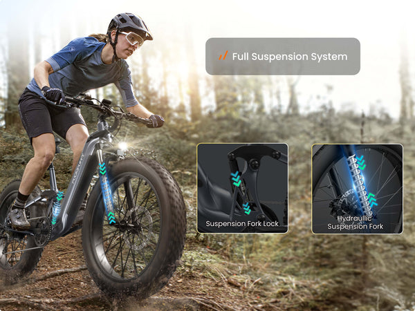 Boxer ST EbikeMetallic Gray