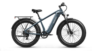 Beagle 2 Ebike - Metallic Gray