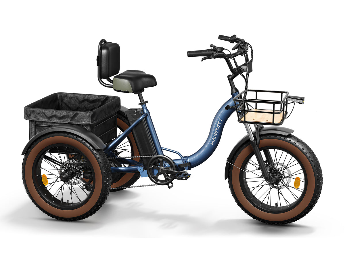 Alaskan Etrike