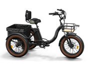 Alaskan Etrike