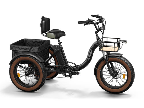 Alaskan Etrike