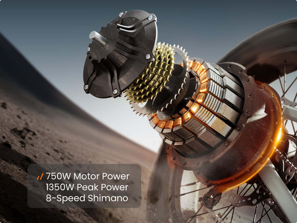 750W Motor Power 1350W Peak Power