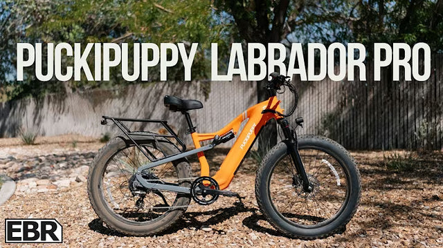 <p><strong>An Affordable Full-Suspension e-Bike!?! PuckiPuppy Labrador Pro Review</strong></p>