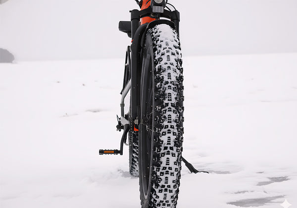 20-inch Studded Tire