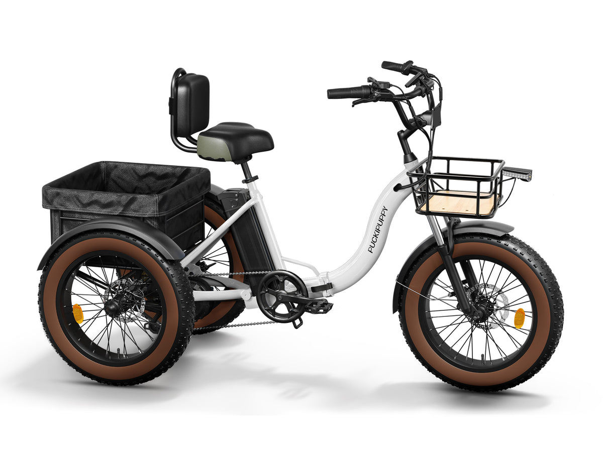 Alaskan Etrike