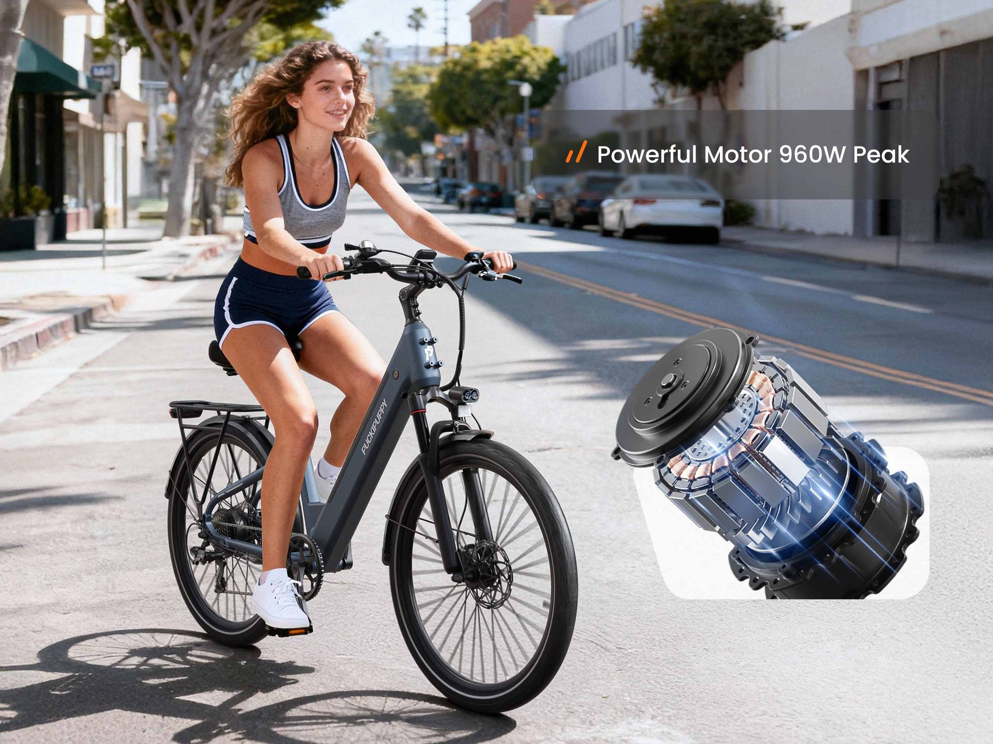 Poodle EbikeSlate Blue