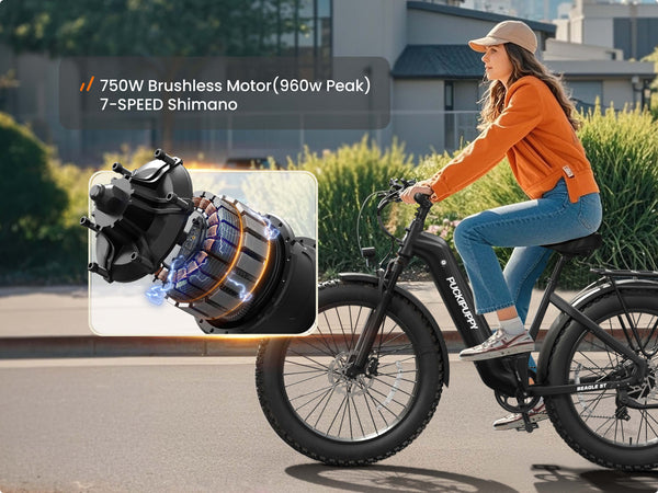 Beagle 2 ST EbikeBlack