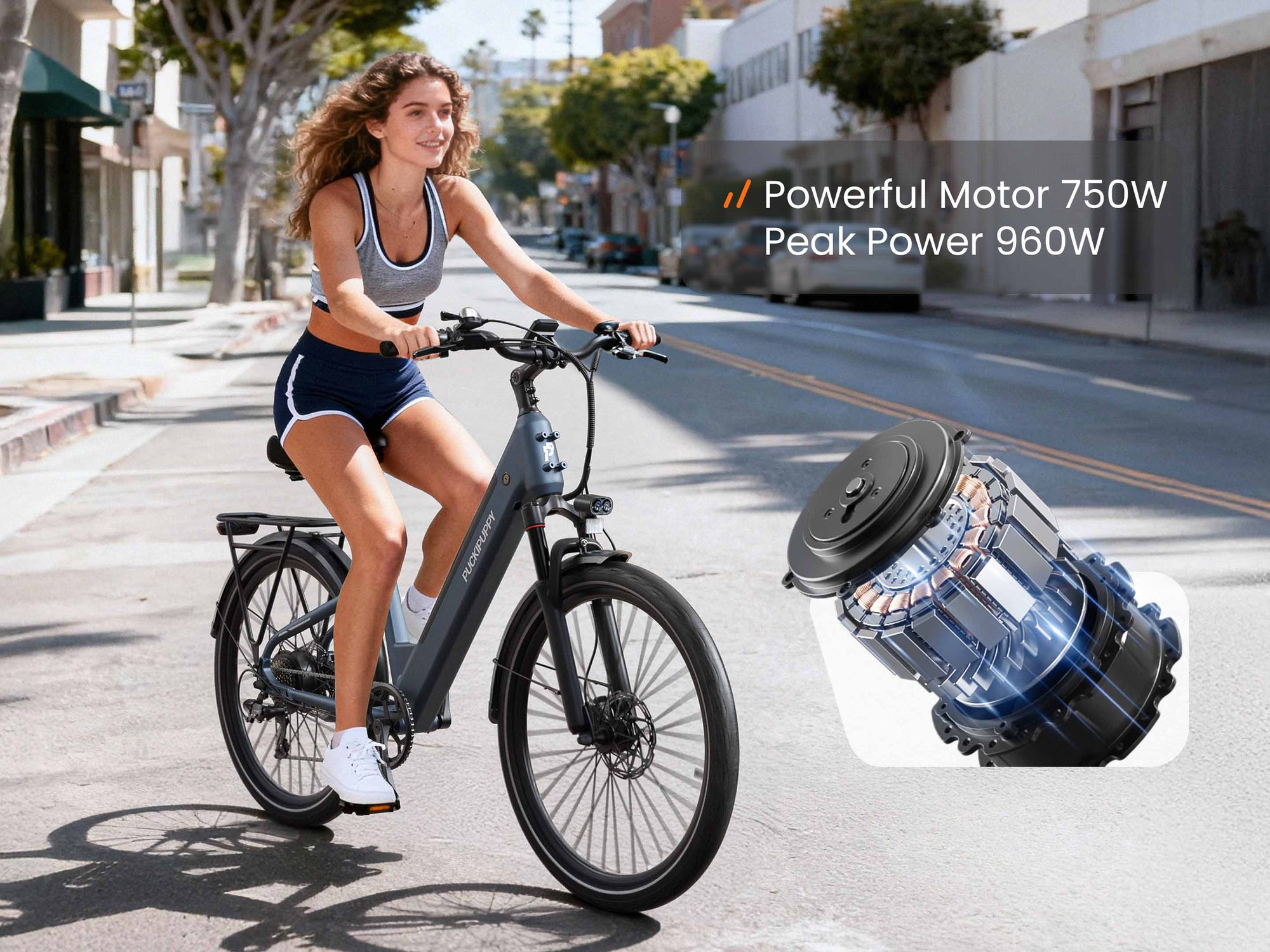 Poodle EbikeSlate Blue